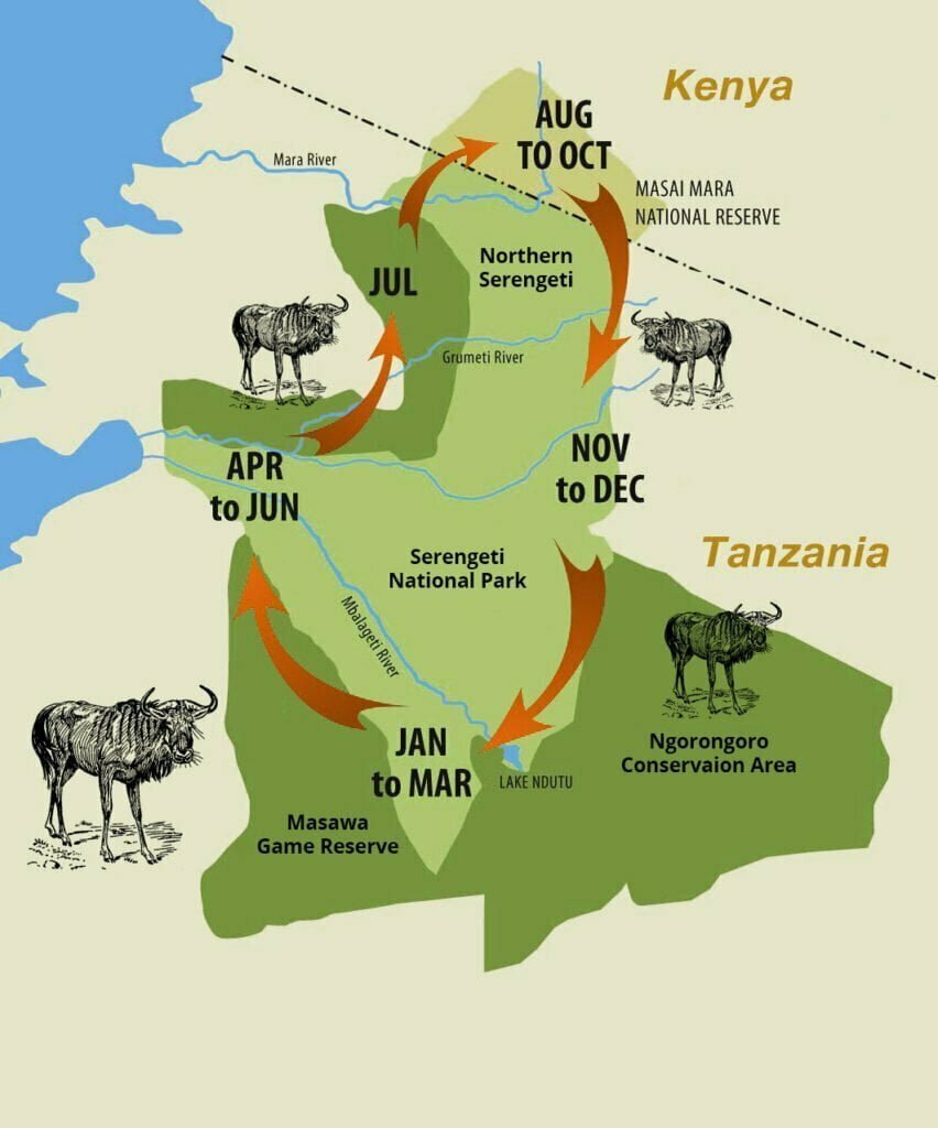 Great Migration - African Traits