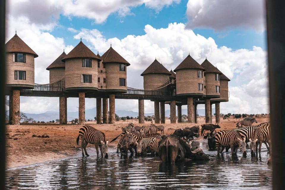 Taita Hills Sanctuary