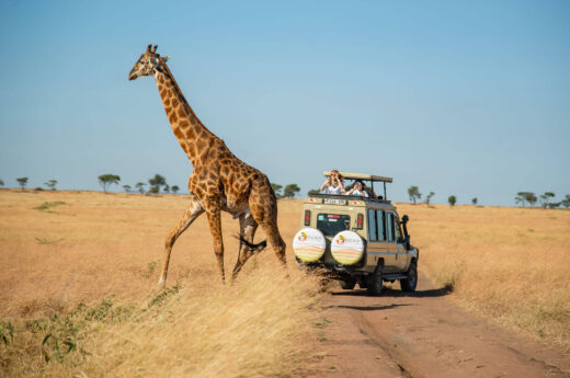 10 Days Super Luxury Flying Safari