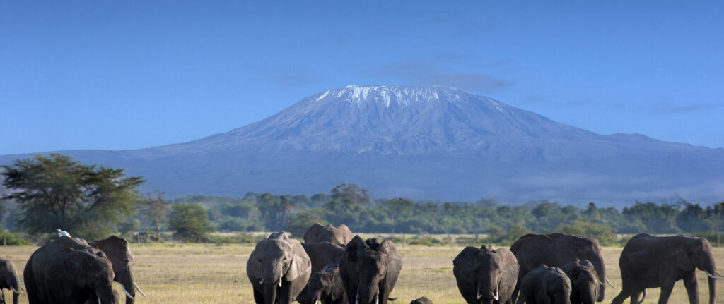 Mount Kilimanjaro