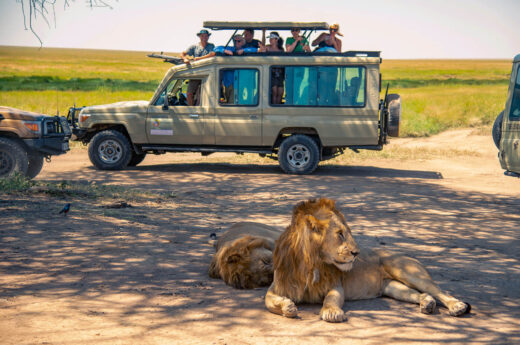 5 Days Tanzania Safari Experience