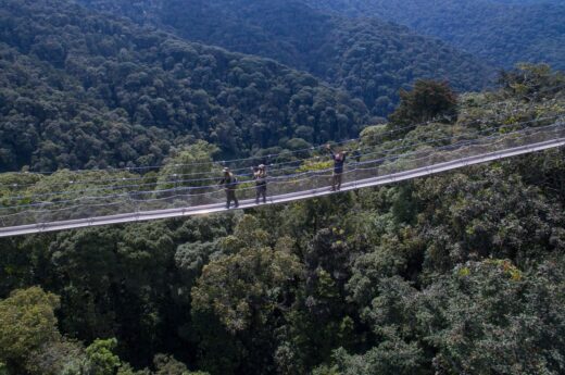 Nyungwe Forest National Park