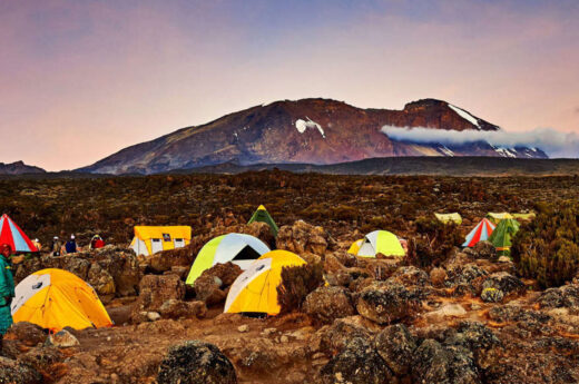 Lemosho route - Kilimanjaro