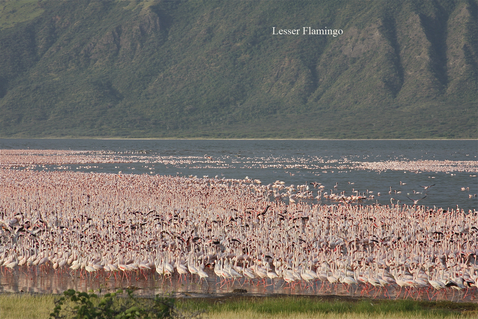 Lake Baringo via Lake Bogoria