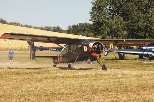 Serengeti safari