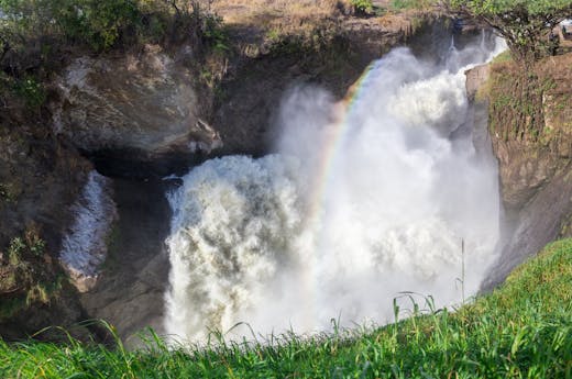 Murchison falls