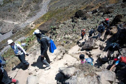 Umbwe Route - Mt Kilimanjaro