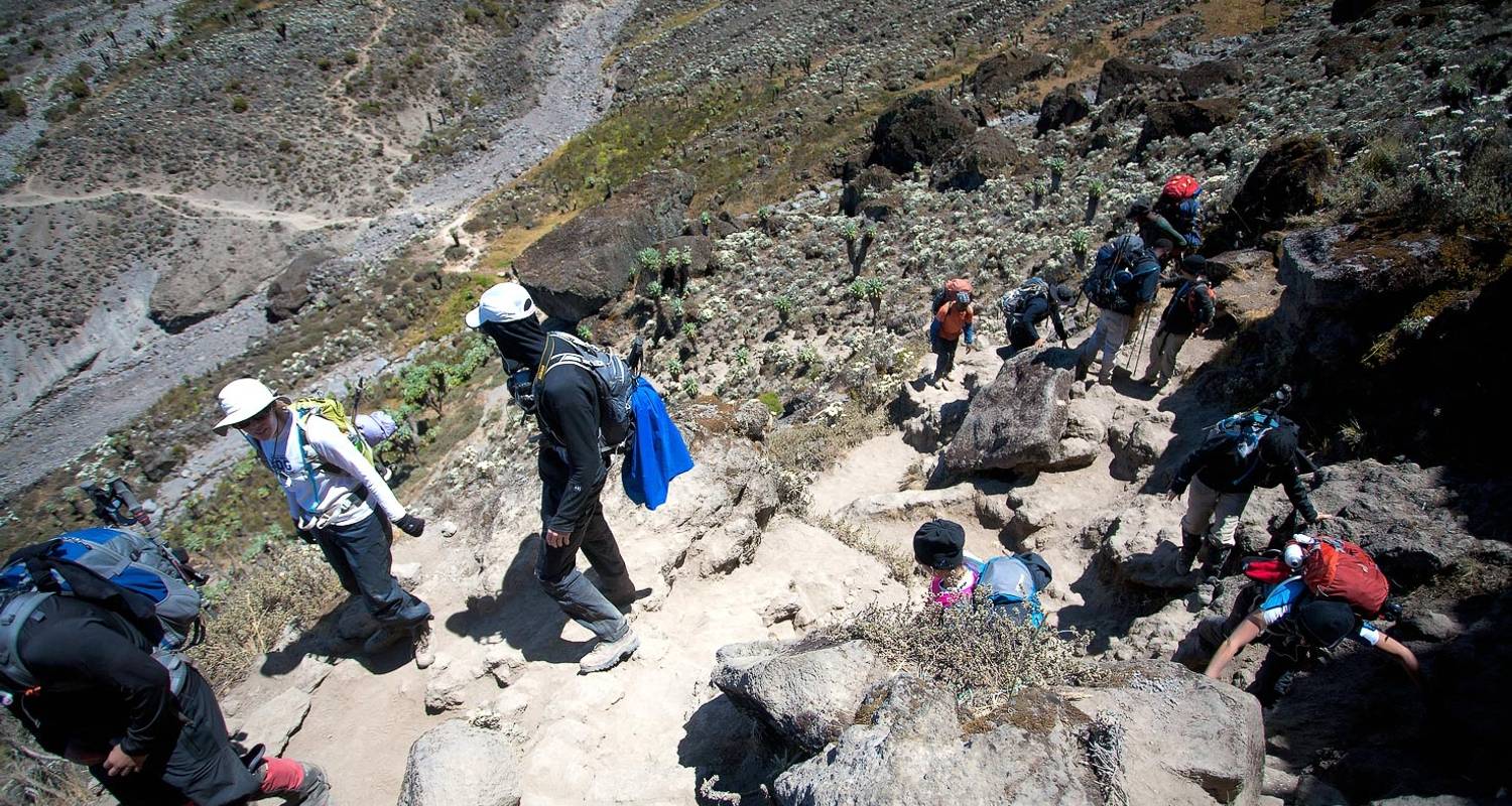 Umbwe Route - Mt Kilimanjaro