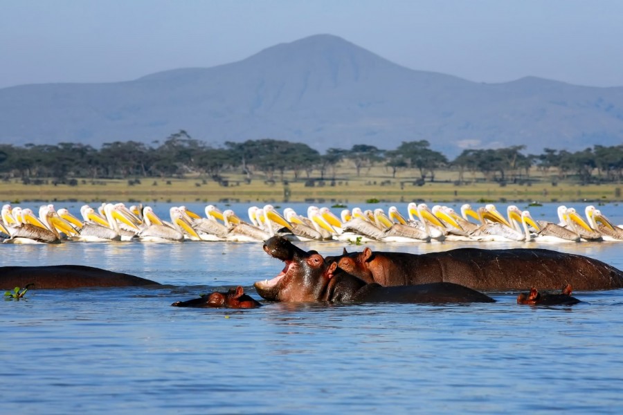 Lake Naivasha