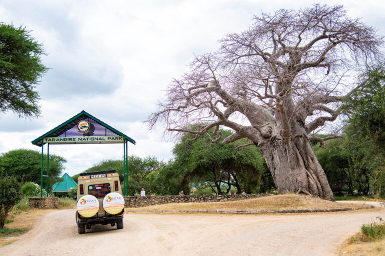 Tarangire National Park