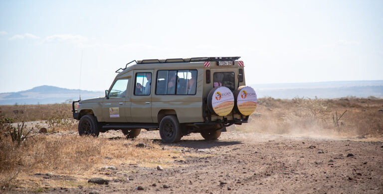 African Traits car on a move